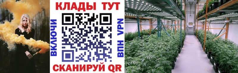 Виды наркоты Электросталь Cocaine  Меф  А ПВП  ГАШИШ 
