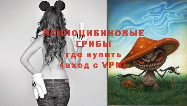 прущая мука Абинск