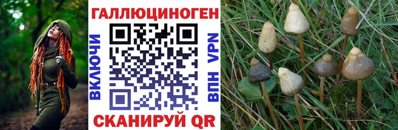купить наркотик  Электросталь  это формула  Галлюциногенные грибы Psilocybine cubensis 