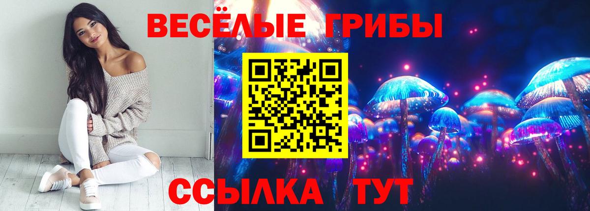 Псилоцибиновые грибы MAGIC MUSHROOMS Электросталь